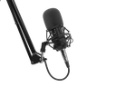 Genesis Radium 300 XLR 1