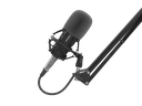 Genesis Radium 300 XLR 4